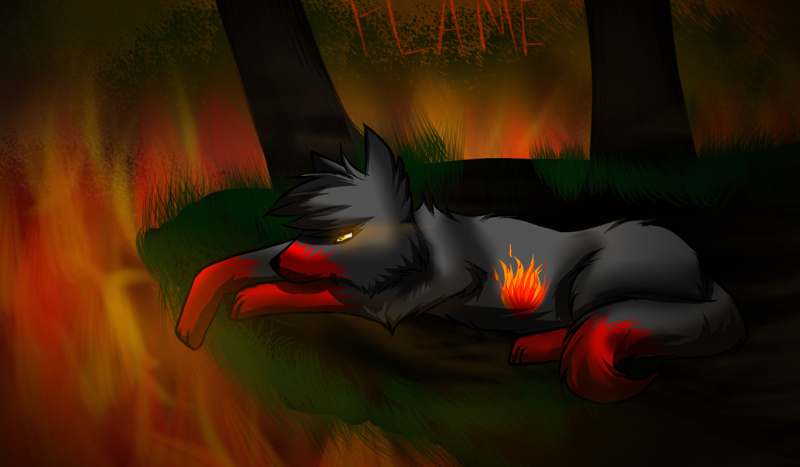 Jak dobrze znasz Flame’a ?