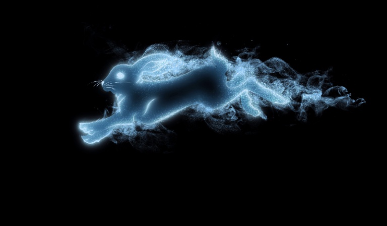 Kogo to patronus?