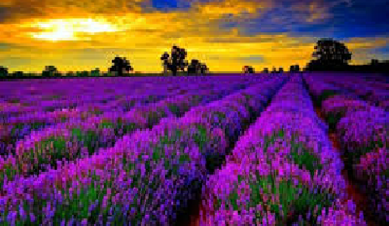 Jaka tapeta do Ciebie pasuję?