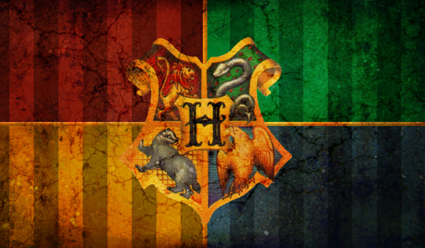 Do jakiego domu trafisz?