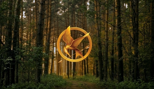 Jak dużo wiesz o ,,Igrzyskach Śmierci ” ( książka ) ?