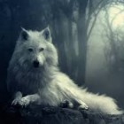 Aszka