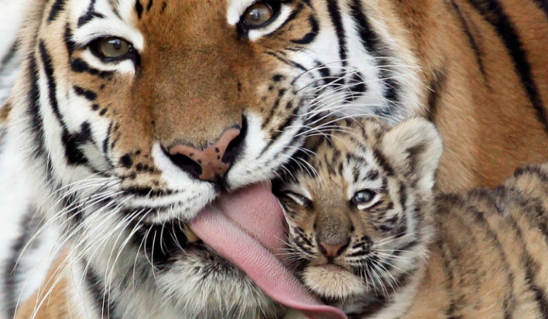 Dziękuję ! Specjal.