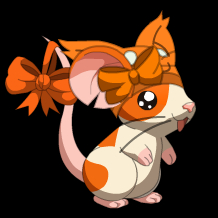 Weroniczka_Czarnecka