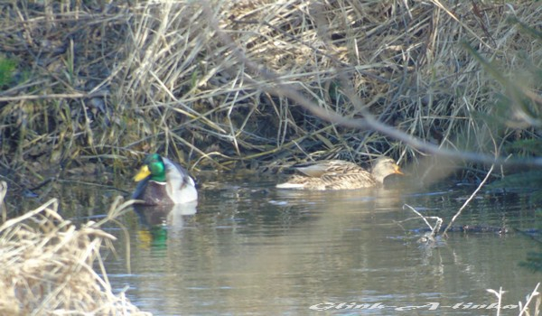 2 pytańa z serii co byś wolał