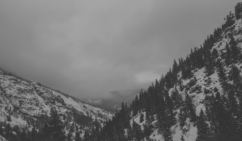 „Własna historia” #0