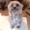 kiky266