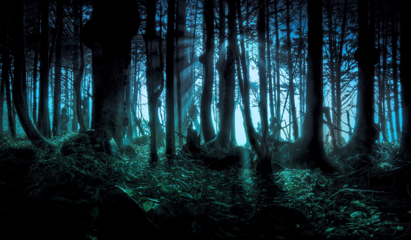 Twoja magiczna historia 1#