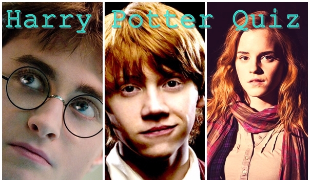 Do kogo jesteś podobny/a? Do Harry’ego, Rona, a może do Hermiony?