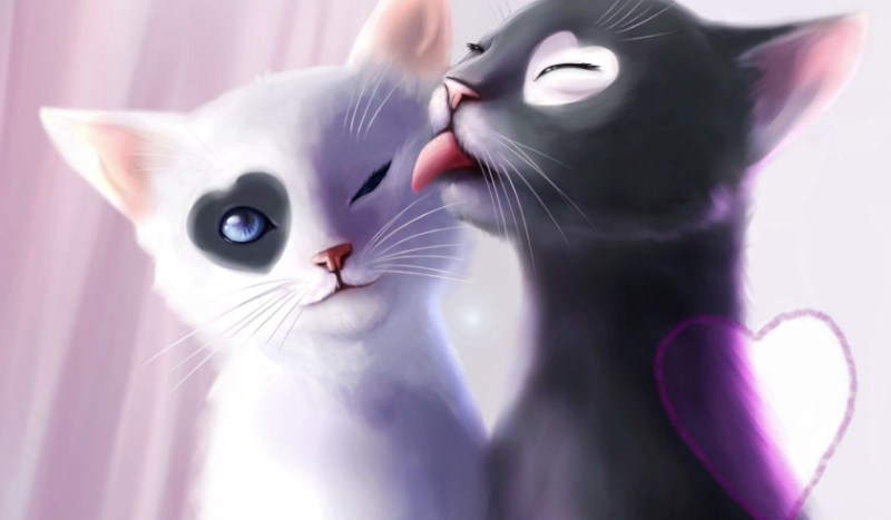 Cat life-stwórz swoją postać!