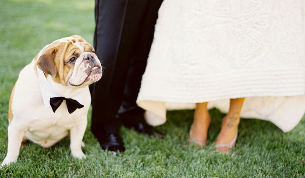 Jaką suknię będziesz miała na swój ślub ?