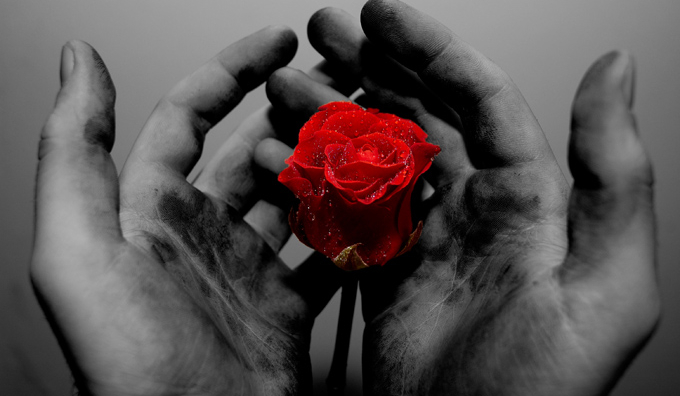 Jak dobrze znasz WIŚNIE ?