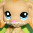 The Crazy Dashie LPS