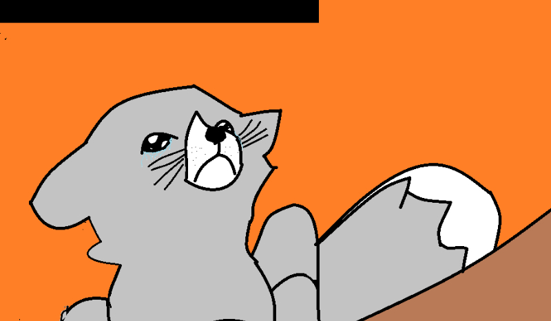 test wiedzy o grze : Fnaf 1,2,3,4