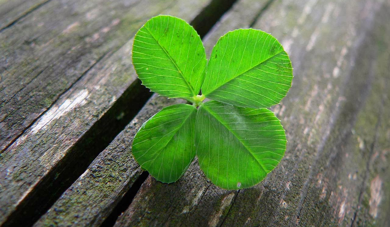 Czy masz szczęście ?