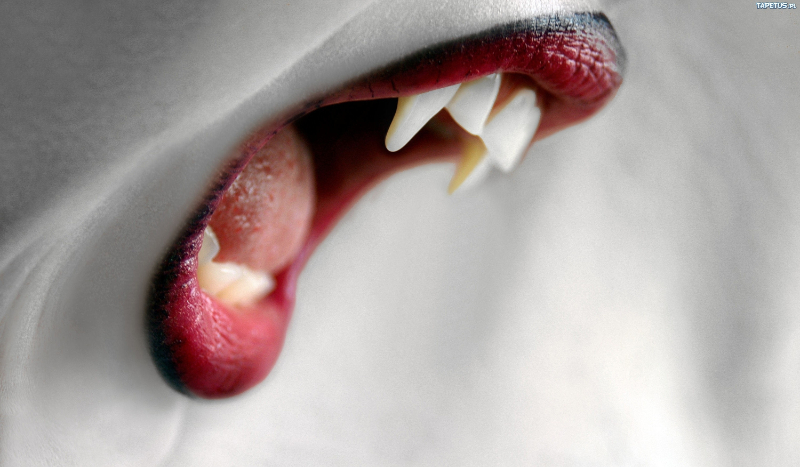 Historia z wampirami! #1