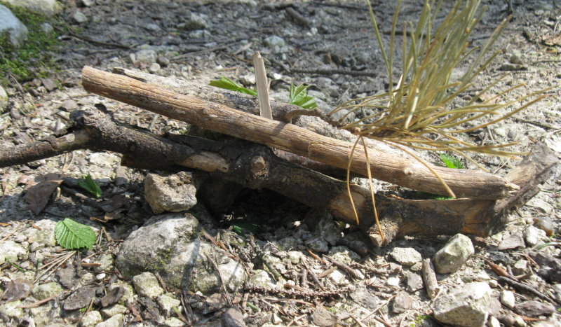 Czy uda Ci się zdobyć chłopaka?