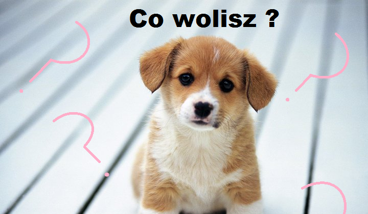 9  pytań  z serii ”Co wolisz?”