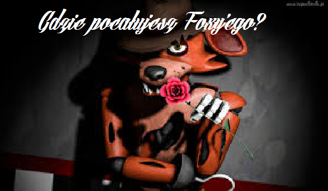 Gdzie pocałujesz Foxy’ego? (części ciała)
