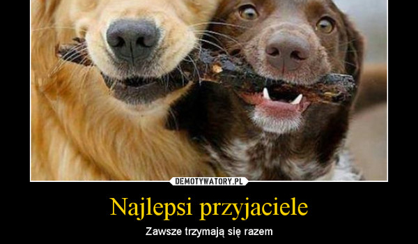 Czy jesteś lubiany?