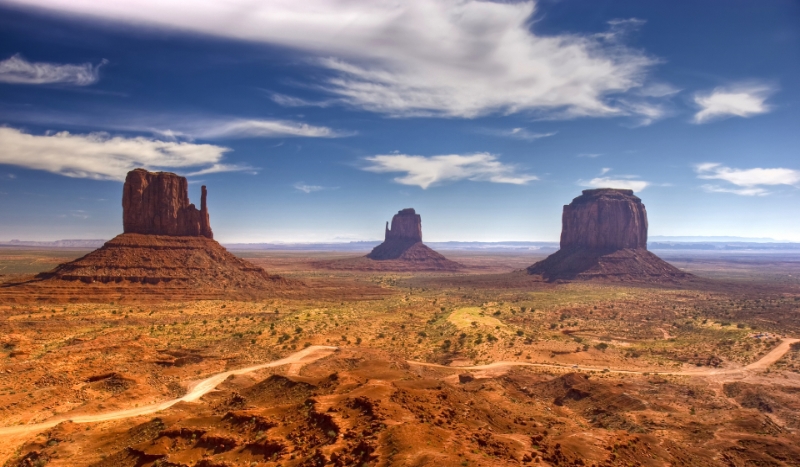 Co myśli o tobie Cole Holland?