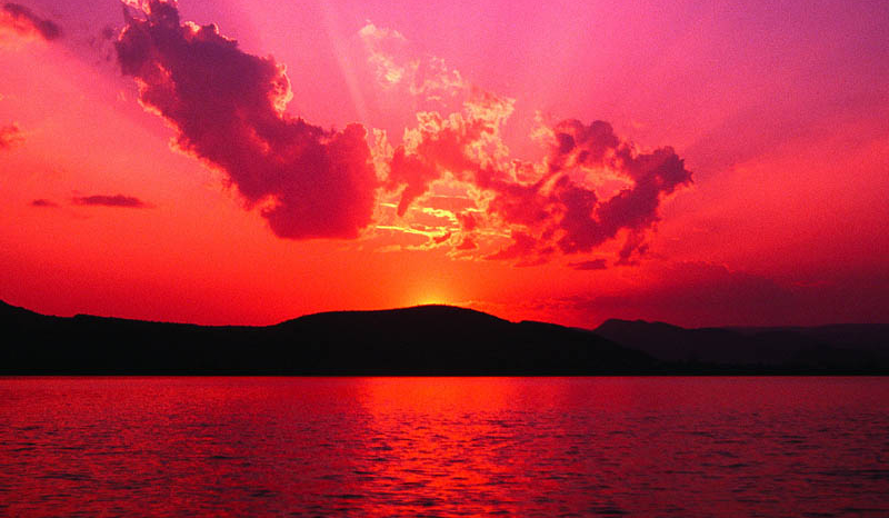 Zostań wampirem na pare minut…