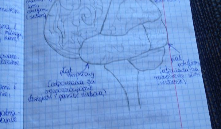 czy wiesz kim jestes?