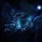 Night Dragon