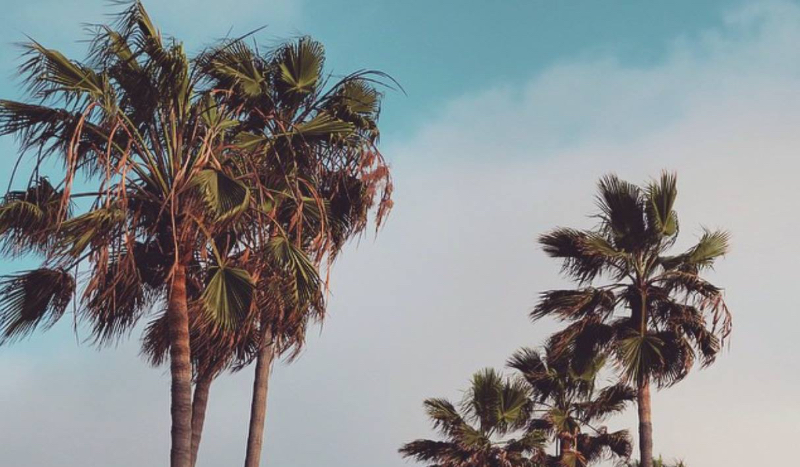 Jakie buty pasują do Ciebie?