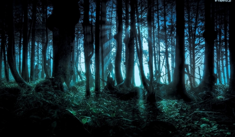 Creepypasta#1 Moja historia