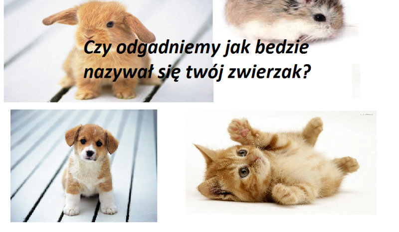 Czy odgadniemy jak będzie się nazywał twój zwierzak?