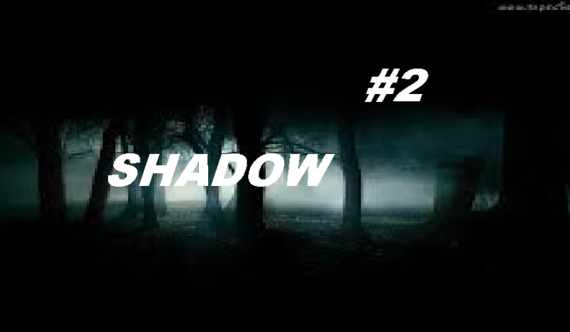 Shadow #2