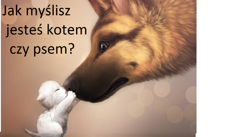Jak myślisz jesteś kotem czy psem?