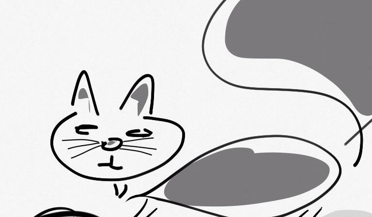 Jaka maść kota pasuje do ciebie?