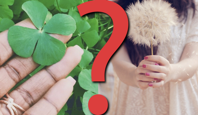 20 pytań z serii „Co wolisz?”