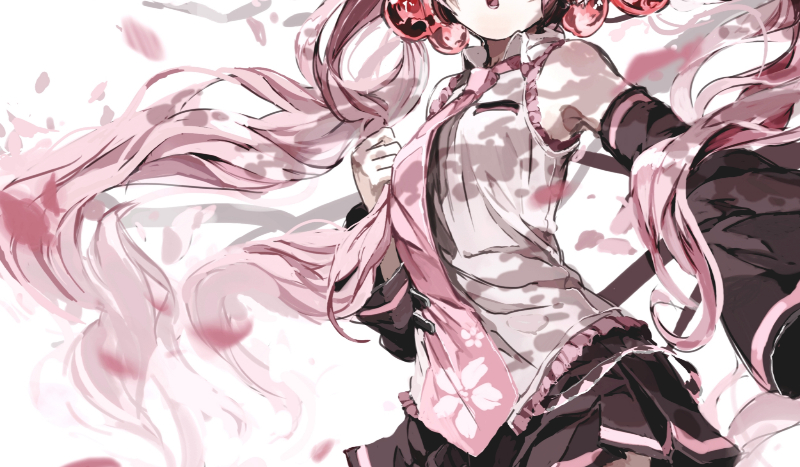 Jak dobrze znasz Paule?