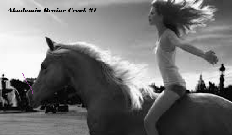 Akademia Braiar Creek #1