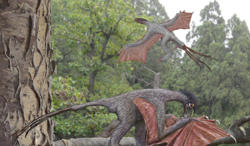 jakim dinozaurem jesteś