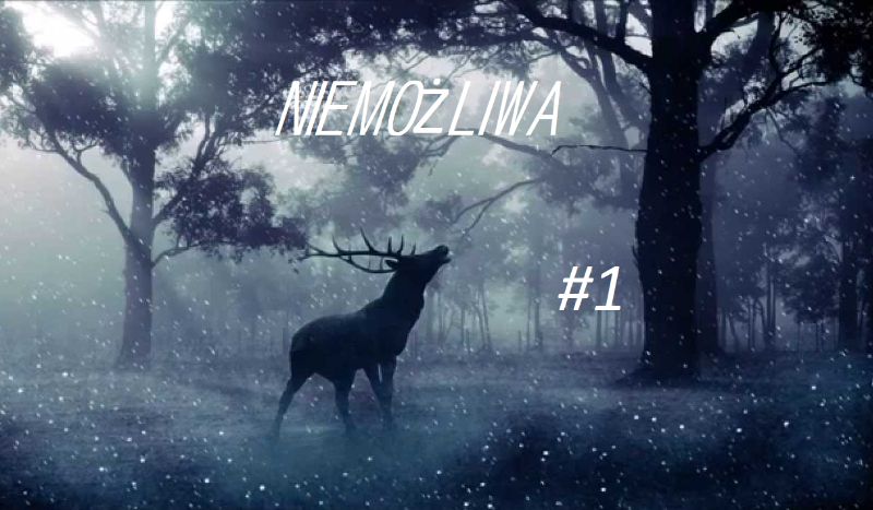 Niemożliwa #1