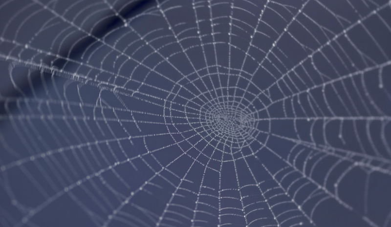 jakim potworem z minecraft jesteś?