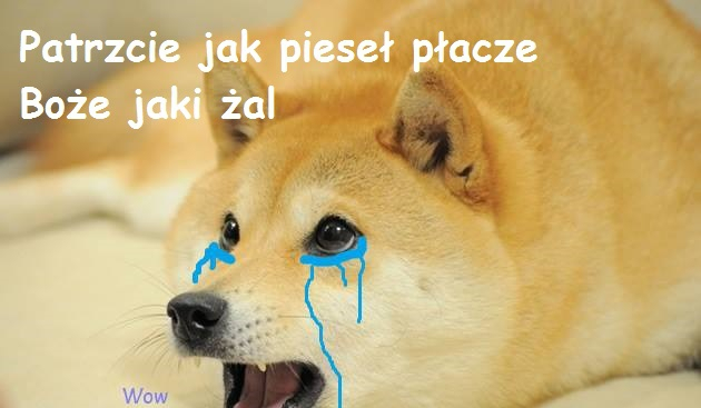 #2 historia pieseł
