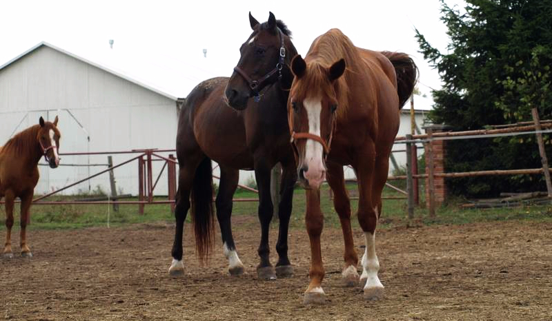 Jak potoczy się wasza historia? #01
