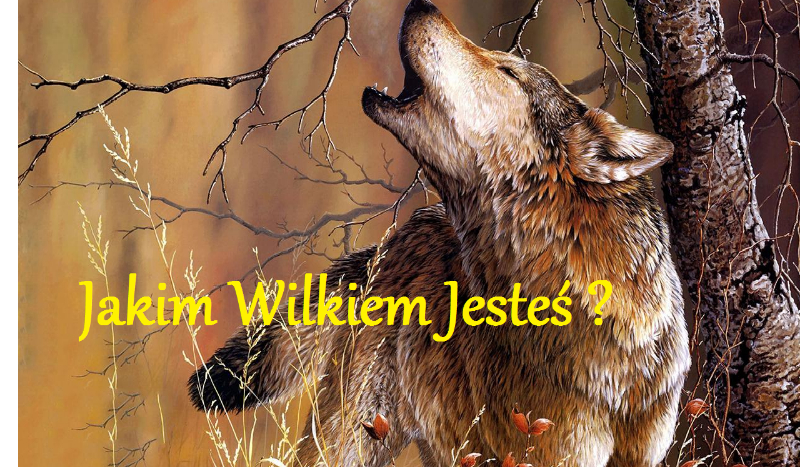 Jakim Wilkiem Jesteś ?