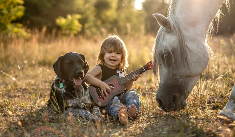 Przygoda z końmi #1