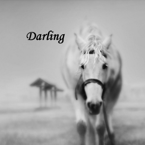 Darling