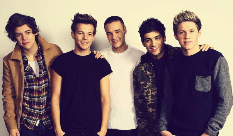 Do kogo z 1D pasujesz?