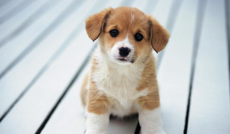 Jak dobrze mnie znasz