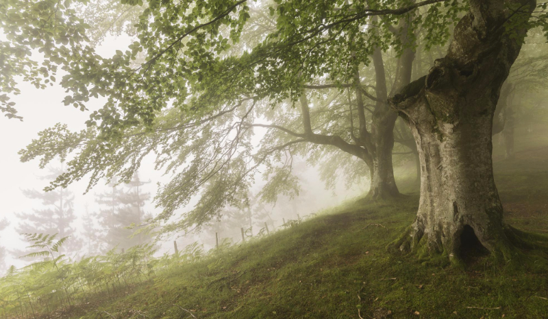 Twoja Historia. Cz. 1