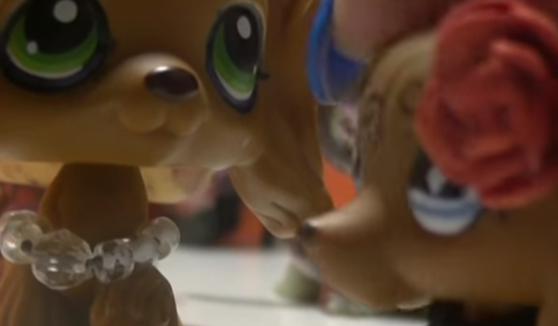 Jak dobrze znasz serial LPS ,,Roza”