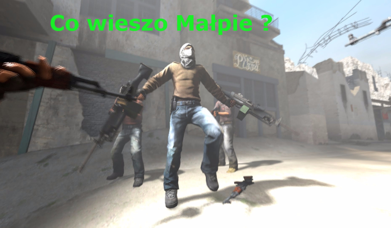 Co wiesz o Małpie ?